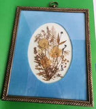 Vtg Framed Dried Flowers By Betty Carey
