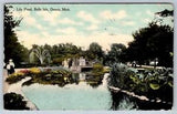 Lily Pond, Belle Isle, Detroit Michigan, Antique 1910 Wolverine News Co Postcard