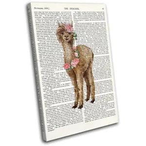 Llama Alpaca Flower Peony Book Animals SINGLE CANVAS WALL ART Picture Print