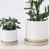 Textured Planter with Saucer in White Ceramic on Beige