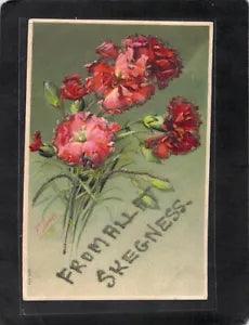 C1489 Carnation Flowers Greetings from Skegness Flowers Miss Flint vintage postc