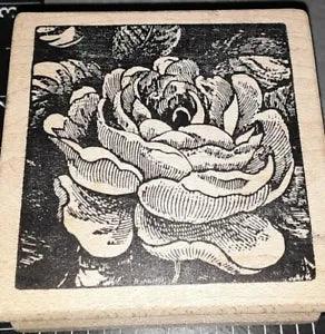 Peony, flower,rose,shaded,magenta, C56,rubber,wooden