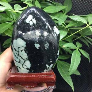 1077g BONSAI SUISEKI PEONY STONE FUGUI FLOWER BLOSSOM-SURPRISE VIEW  X493