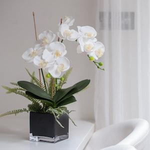 Luxury white artificial orchid plant in black cube vase.Luxury lifelike orchids, High quality phalaenopsis orchids,