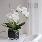 Luxury white artificial orchid plant in black cube vase.Luxury lifelike orchids, High quality phalaenopsis orchids,