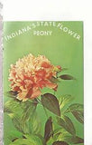 Peony  Indiana's State Flower   Mailed 1971 Chrome Postcard 237