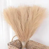 30 Pampas Grass Natural Dried Reed Flower Bunch Home Wedding Decor Bouquets GIFT
