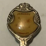 January Carnation Flower Collectable Souvenir Spoon DV