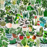 Green plants stickers, cute plants,bottle,Laptop phone Journal Stationery Scrapbook,planner stickers,kids toy