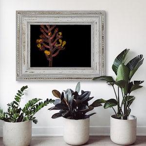 Orchid: A. burmannicus - Hand Mounted/Matted Photographic Print-Fast & Free US Shipping!