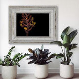 Orchid: A. burmannicus - Hand Mounted/Matted Photographic Print-Fast & Free US Shipping!
