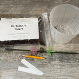 Medium orchid repotting kit with 5??? clear round slotted pot, Orchiata #5 Power bark mix, potting care kit, Repotting orchids made easy