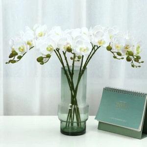 Real Touch Phalaenopsis Stem and Bud 21.65" Fake Butterfly Flower Home Decor Wedding Party Artificial Floral Arrangement Material to Outdoor