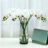 Real Touch Phalaenopsis Stem and Bud 21.65" Fake Butterfly Flower Home Decor Wedding Party Artificial Floral Arrangement Material to Outdoor