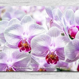 Pink Orchids Canvas Wrap Photograph Wall Art Print Decor Flower Floral Foliage Colorful Garden Petals Red Color Macro Close Up