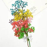 12pcs Natural Pressed Flowers like trees Dried Flower for DIY Wedding Graft...