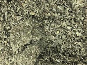 Marshmallow leaf cut bulk healing herb natural Althaea WHOLESALE - 4 lb's pounds