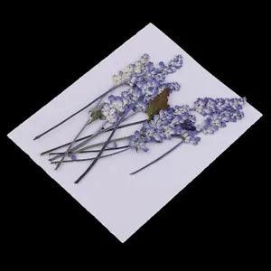 6 Pcs Pressed Sage Flower Dried Flowers Bookmarks Scrapbooking Frame DIY Crafts