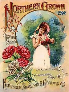 1892 Pink Carnations Vintage Flowers Seed Packet Catalogue Advertisement Poster