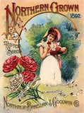 1892 Pink Carnations Vintage Flowers Seed Packet Catalogue Advertisement Poster