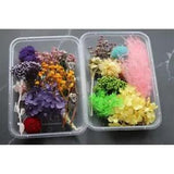1Box Epoxy Resin Pendant Real Dried Flowers For DIY Art Craft Jewellery Making