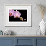 Orchid Print on Acrylic, Wood, Metal, Canvas or Paper, Fine Art Print, Home Decor, Ready to Hang, Flower Print, Large Wall Art, Gallery Wall