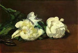 Wonderful Oil painting still life White Peony Flower on canvas