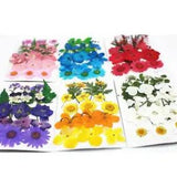 1 Pack Natural DIY Dried Flower Mixed Real Flower For DIY Making Props Home...