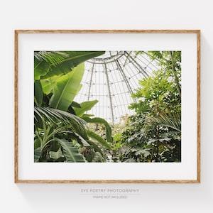 Tropical Print, Greenhouse Photography, Tropical Plants, Greenery, Green Jungle, Botanical Print, Wall Art, Prints