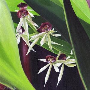 Encyclia Green Hornet, 8" x 8" Original Acrylic Painting on Canvas, Flower Artwork Gift, Close up Orchid, Intimate Space Art, Corner Decor