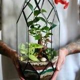 Glass container, terrarium, florarium "Rocket" ??C Tiffany technique. Home decor, Wedding table decor, office, for plant lover, succulent pot