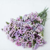 Statice pastel mix Flower Delivery