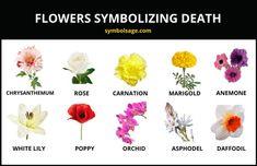 Flowers Symbolizing Death ¡§C Symbol Sage Flower Delivery