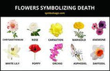 Flowers Symbolizing Death ¡§C Symbol Sage Flower Delivery