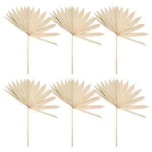 6Pcs  Dried Palm Leaves Natural Dried Palm Fans Dried Flower Bouquet WeddinQ4