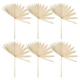6Pcs  Dried Palm Leaves Natural Dried Palm Fans Dried Flower Bouquet WeddinQ4