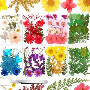 109 Pieces Real Dried Press Flowers Set, Natural Pressed Dry Flowers Leaves Mixe