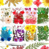 109 Pieces Real Dried Press Flowers Set, Natural Pressed Dry Flowers Leaves Mixe