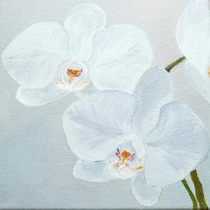 Original Oil painting, Flowers Orchids 8"x 8"