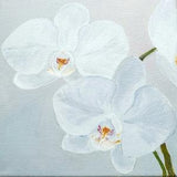 Original Oil painting, Flowers Orchids 8