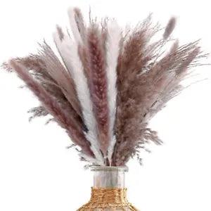 17.5" Dried Pampas Grass for Boho 17.5" Tall with 85 stems mixed pampas grass