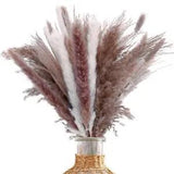 17.5" Dried Pampas Grass for Boho 17.5" Tall with 85 stems mixed pampas grass