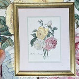 Counted Cross Stitch??.?¡ÀA Rose Bouquet?¡À Design 22?? Designed by Cindy Rice??The Lilac Studio