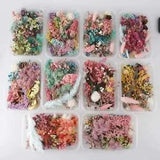 Create Stunning Jewelry and Crafts - Real Dried Flower Box - DIY Accessories
