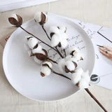 Decorative Dried Cotton Flowers White Home Ornament Flowers Branch Decor...