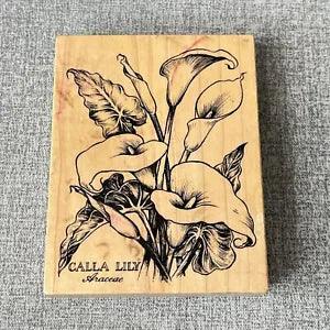 Calla Lily Araceae Wood Rubber Stamp PSX K1696 Flowers Floral