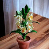 Dendrobium Crochet Orchid Plant Handmade Crochet Orchid Home Decoration Orchid Home Desk Decor Orchid Crocheted Flower Handmade Gift  Idea