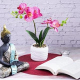 Artificial Orchid Plant, Velvet Touch, With Planter, Indoor Fake Plant