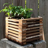 218. Salvaged Red Pine Wood Hanging Basket Planter for Orchids, Bromeliads, Ferns, Cacti, Other Epiphytes and Succulents