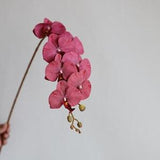 35" Fake Orchids in Burgundy, Artificial Phalaenopsis Orchids Stem, DIY Office/Wedding/Home/Holiday/Kitchen Decorations, Mum Gifts for Her